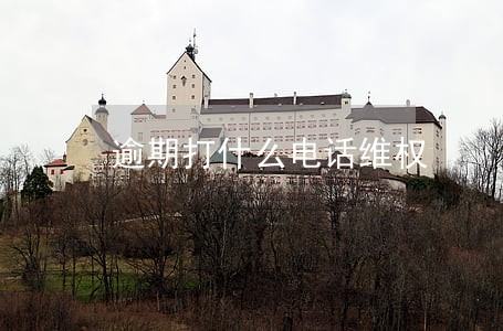 逾期打什么电话维权