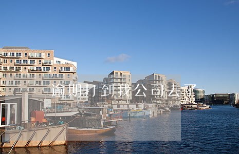 逾期打到我公司去了 逾期打到我公司去了