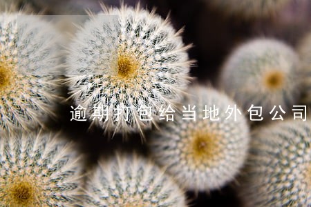 逾期打包给当地外包公司