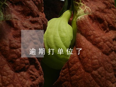 逾期打单位了