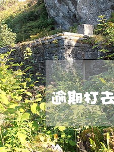 逾期打去单位