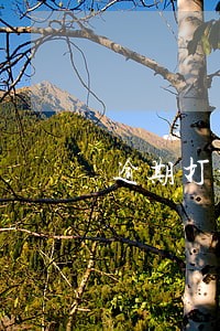 逾期打村支书电话说要上门 逾期打村支书电话说要上门