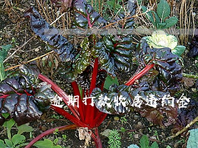 逾期打款收房违约金 逾期打款收房违约金