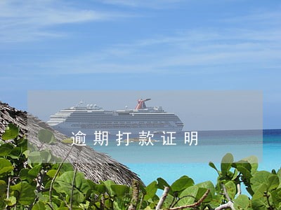 逾期打款证明 逾期打款证明