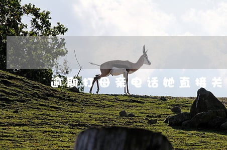 逾期打母亲电话她直接关机 逾期打母亲电话她直接关机
