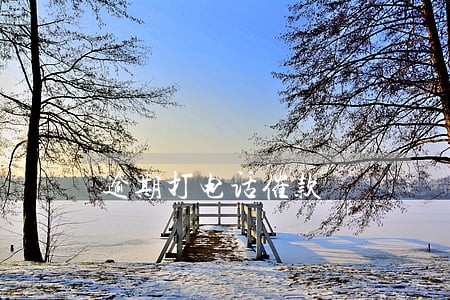 逾期打电话催款 逾期打电话催款