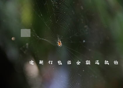 逾期打电话全额还款论坛 逾期打电话全额还款论坛