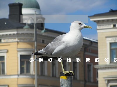 逾期打电话到亲戚公司 逾期打电话到亲戚公司
