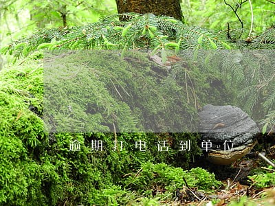 逾期打电话到单位