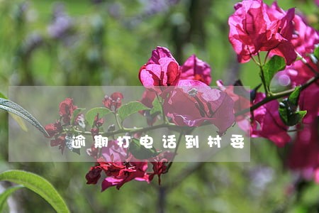 逾期打电话到村委 逾期打电话到村委