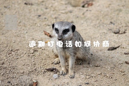 逾期打电话如何协商