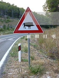 逾期打电话录音 逾期打电话录音