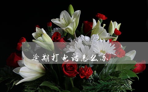 逾期打电话怎么办 逾期打电话怎么办