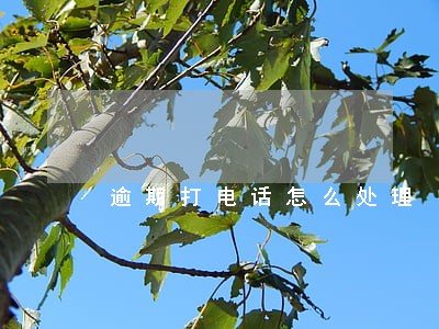 逾期打电话怎么处理 逾期打电话怎么处理