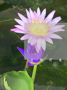 逾期打电话是通讯录随便打还是 逾期打电话是通讯录随便打还是