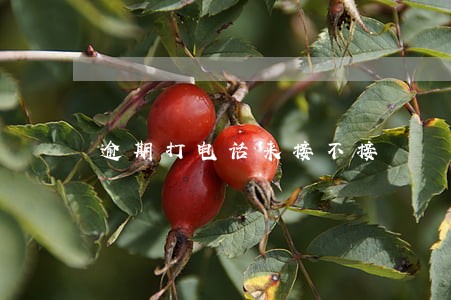 逾期打电话来接不接 逾期打电话来接不接