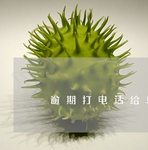 逾期打电话给单位应该怎么解释