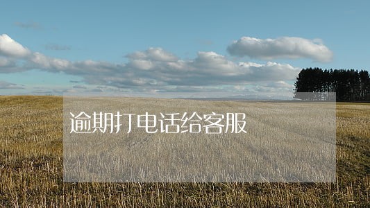 逾期打电话给客服 逾期打电话给客服