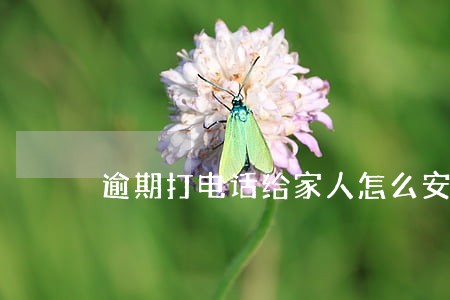 逾期打电话给家人怎么安慰家人 逾期打电话给家人怎么安慰家人