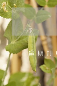 逾期打电话给工作单位 逾期打电话给工作单位