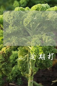 逾期打电话给我们单位各位同事 逾期打电话给我们单位各位同事