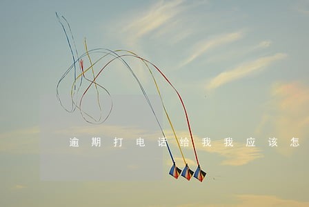 逾期打电话给我我应该怎么说