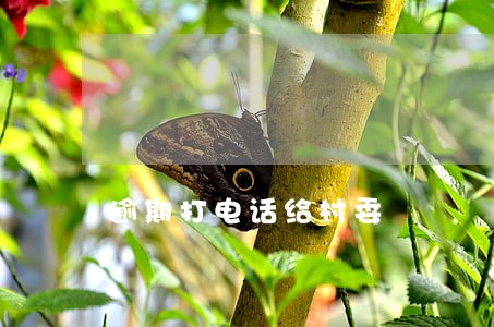 逾期打电话给村委