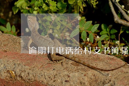 逾期打电话给村支书算骚扰吗 逾期打电话给村支书算骚扰吗