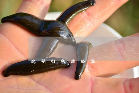 逾期打电话给谁 逾期打电话给谁