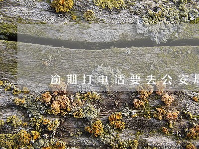 逾期打电话要去公安局立案 逾期打电话要去公安局立案