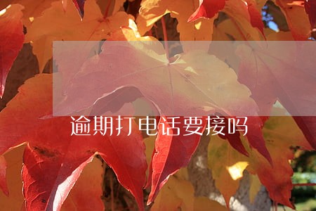 逾期打电话要接吗 逾期打电话要接吗