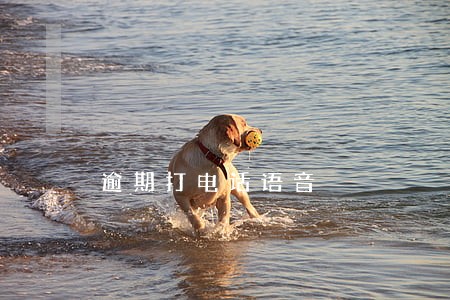 逾期打电话语音 逾期打电话语音