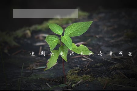 逾期打电话说做备案调查 逾期打电话说做备案调查