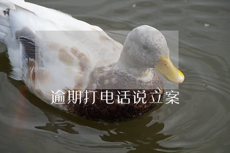 逾期打电话说立案 逾期打电话说立案