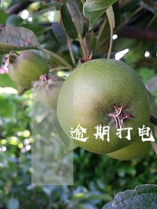 逾期打电话资产处置 逾期打电话资产处置