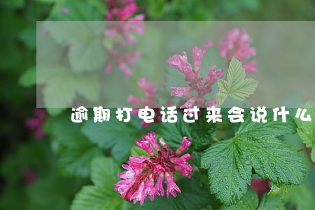 逾期打电话过来会说什么 逾期打电话过来会说什么