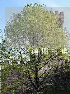 逾期打电话都说些什么意思 逾期打电话都说些什么意思