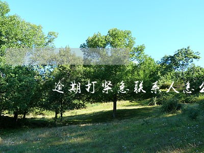 逾期打紧急联系人怎么投诉 逾期打紧急联系人怎么投诉