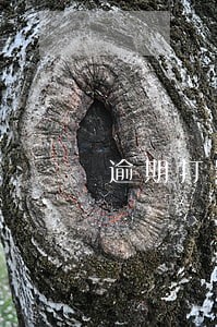 逾期打紧急联系人次数多么