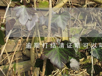 逾期打结清证明可以吗 逾期打结清证明可以吗