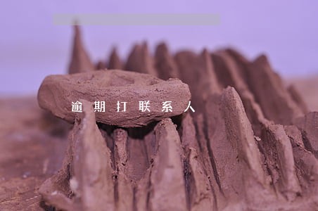 逾期打联系人