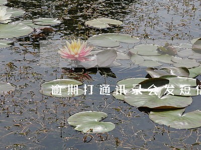 逾期打通讯录会发短信吗 逾期打通讯录会发短信吗