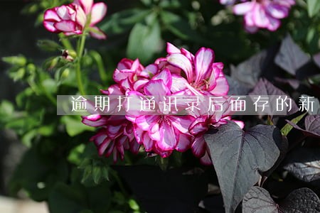 逾期打通讯录后面存的新号码