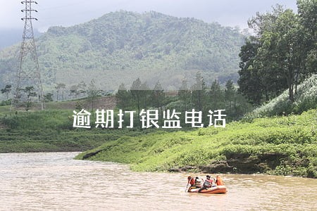 逾期打银监电话