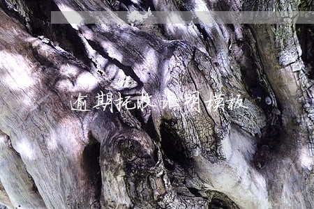 逾期托收证明模板