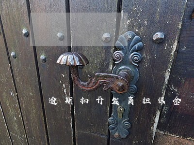 逾期扣开发商担保金 逾期扣开发商担保金