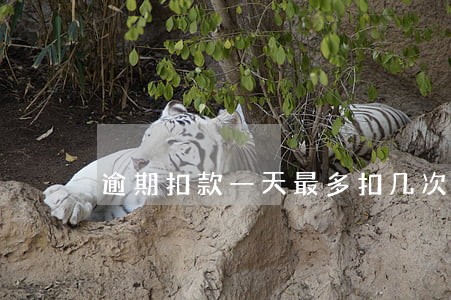 逾期扣款一天最多扣几次 逾期扣款一天最多扣几次