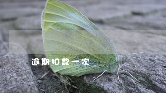 逾期扣款一次 逾期扣款一次