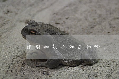 逾期扣款不知道扣哪了 逾期扣款不知道扣哪了