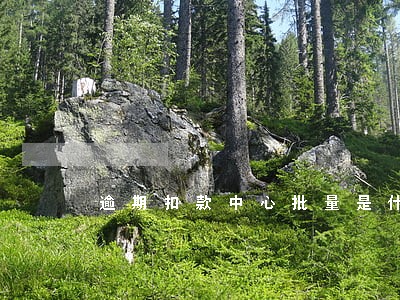 逾期扣款中心批量是什么意思啊 逾期扣款中心批量是什么意思啊